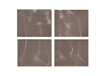 Subterranean Pulse - a Photographic Art Artowrk by Luisa Milano
